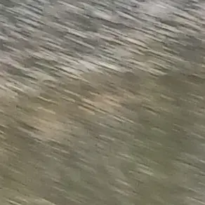 73338의 남편 최연준에게 이혼서류를 들켜버렸다