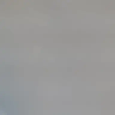 Profile image of forsakenの皆