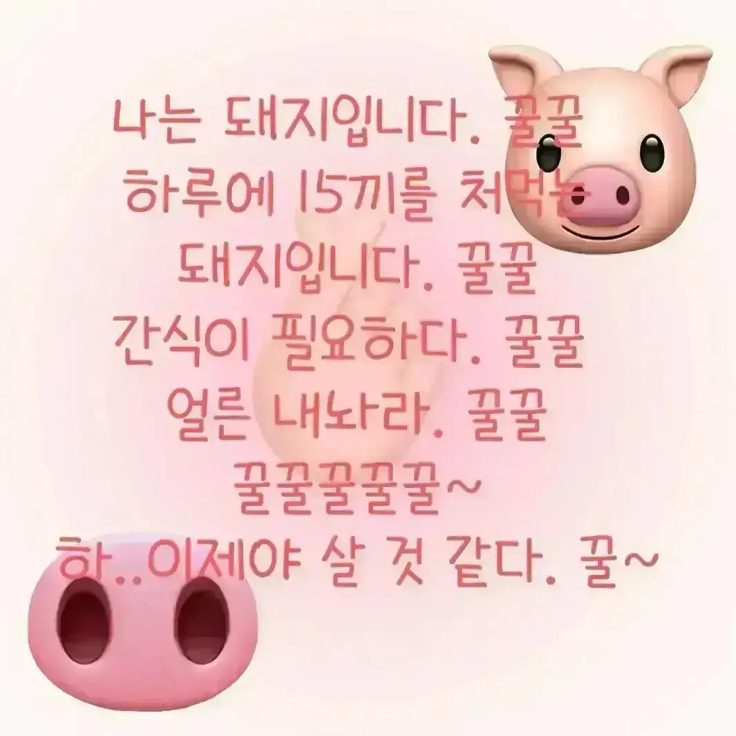 nyz113의 님들은 유명한 틱톡커임