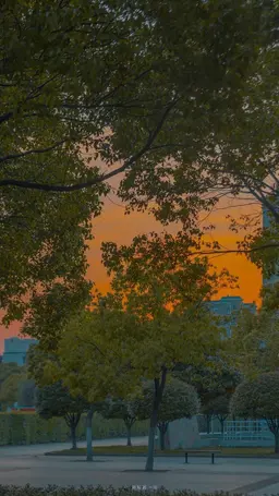 Profile image of Park Deok-gae