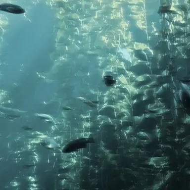 Profile image of 예엥