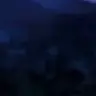 Profile image of 担任の先生
