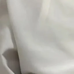 若井 滉斗