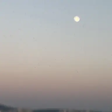 Profile image of 라더