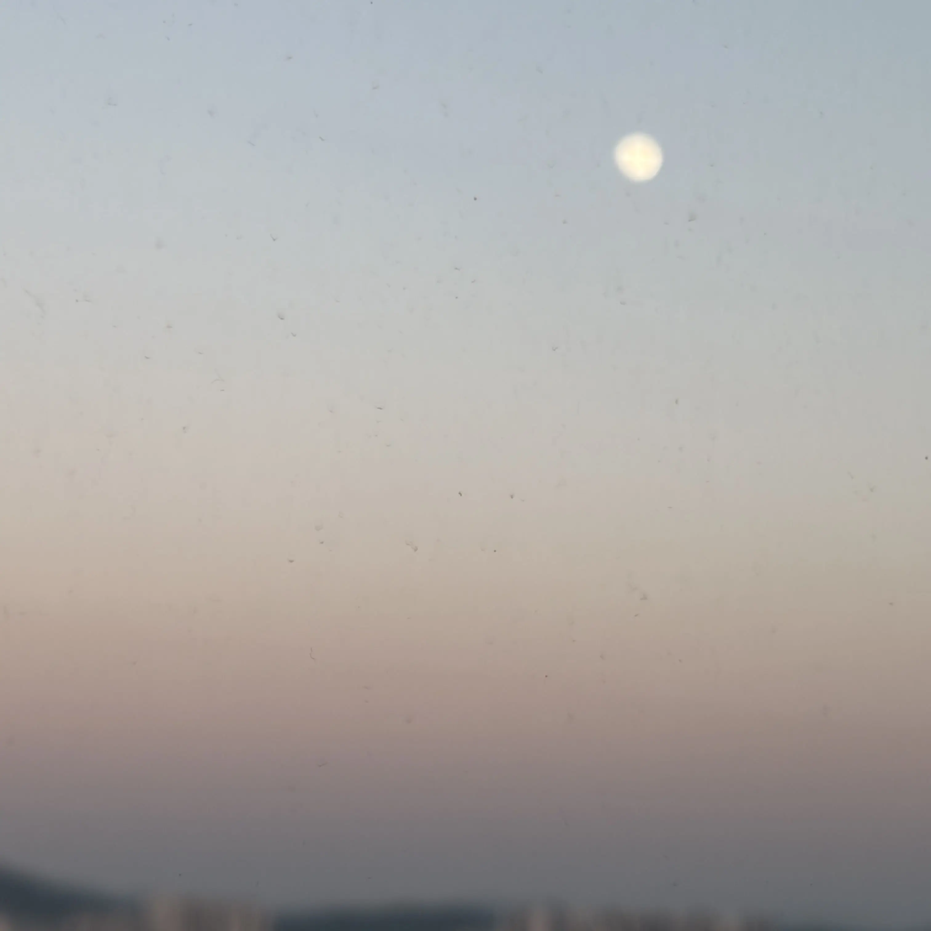 JerkyCat0627의 픽셀 학교 F7