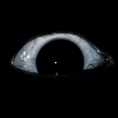 Profile image of 신