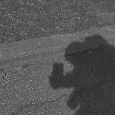 Profile image of ﾄﾇ氏