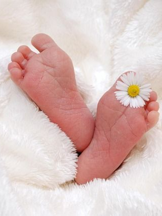 이세돌 (동생이 너무 연약하다.) 대표 이미지