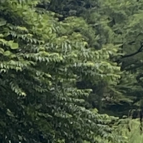 不死川実弥