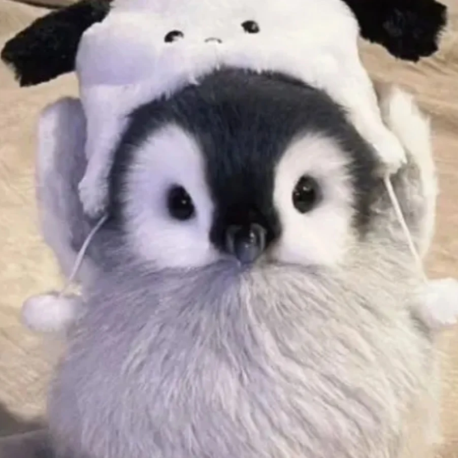 펭귄이