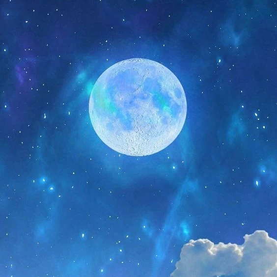 파자마 제작진