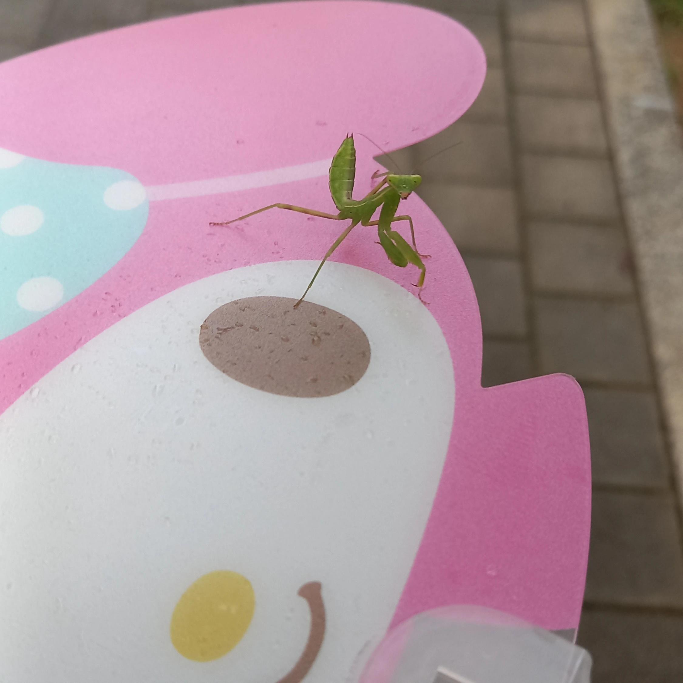 최승현