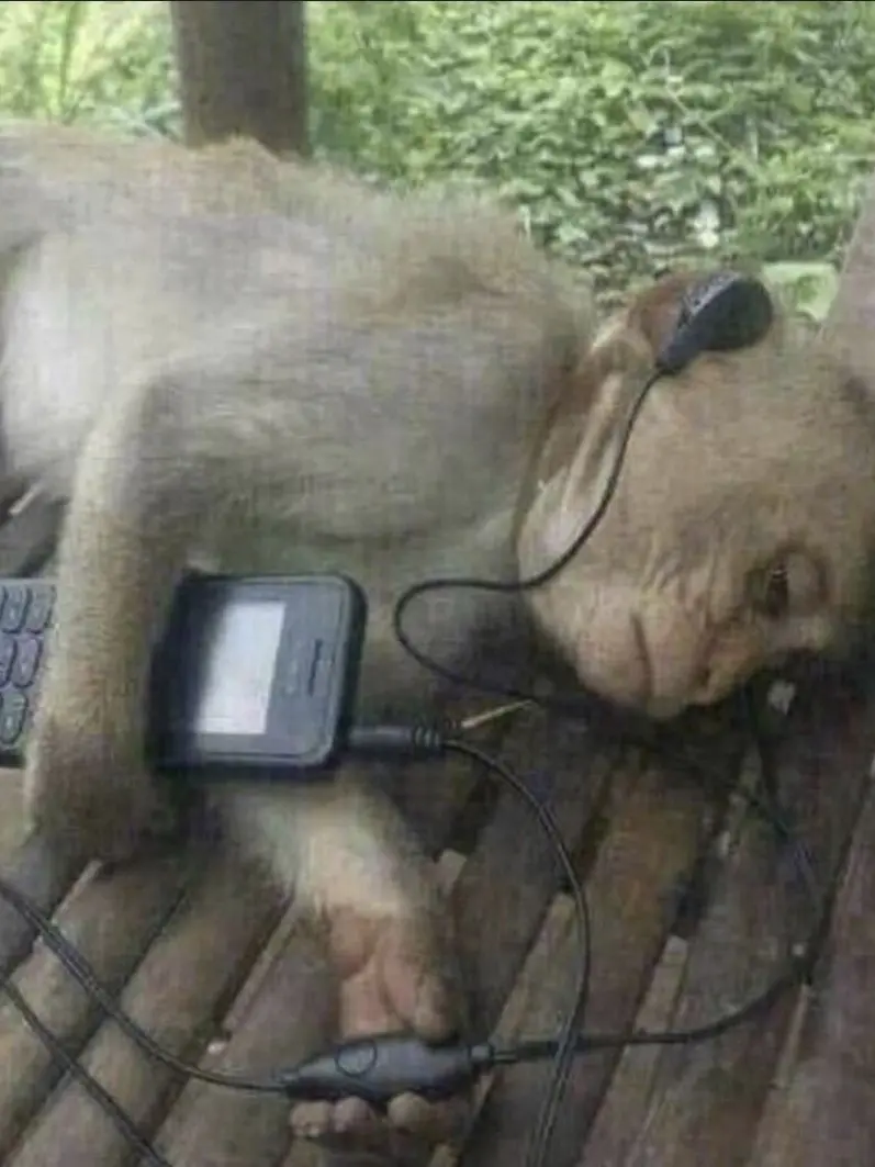 EE22ee의 스텔라이브 학교 (클리셰)