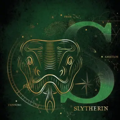 Profile image of Slytherin Boys