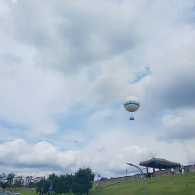 Profile image of 여우