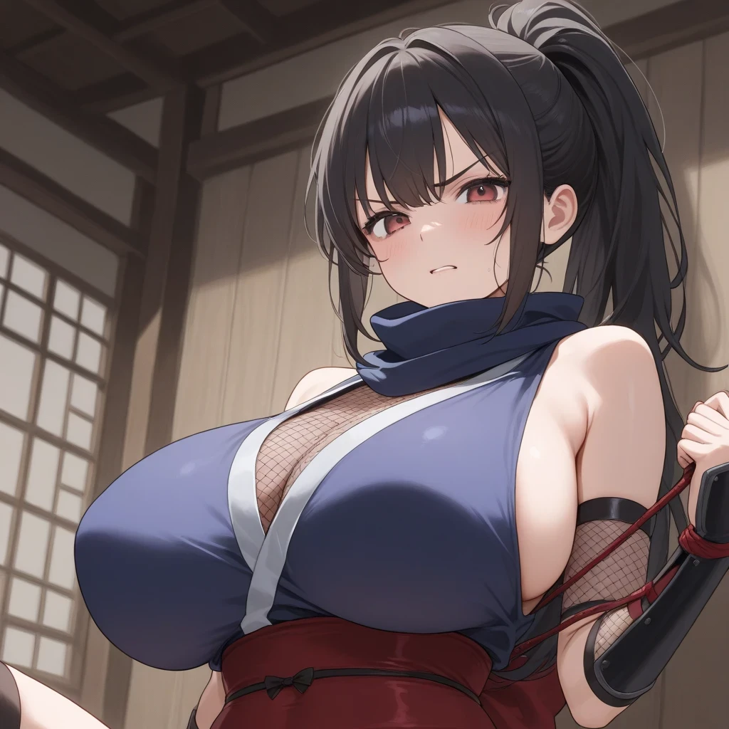 葵