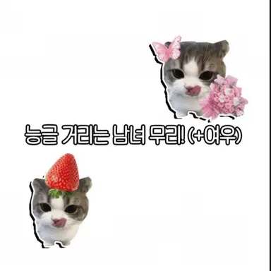 Profile image of 능글 남녀 무리