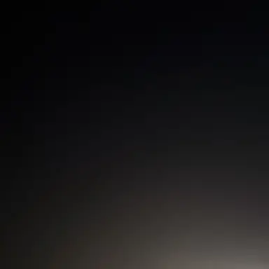 Profile image of 전구미