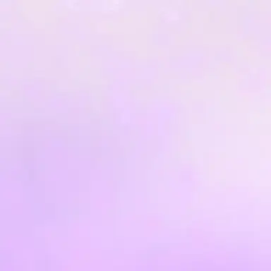 Profile image of 辰哉