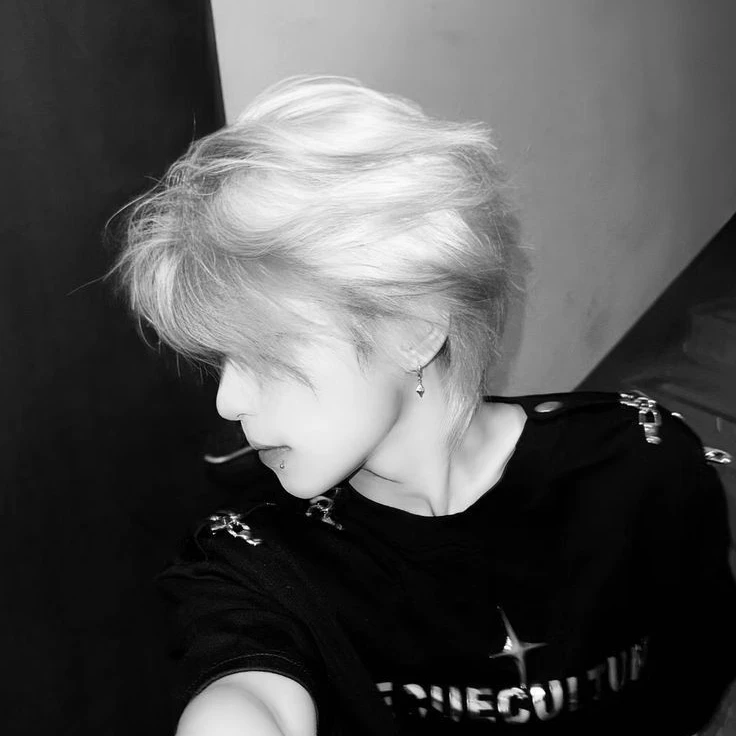 주 은 섬