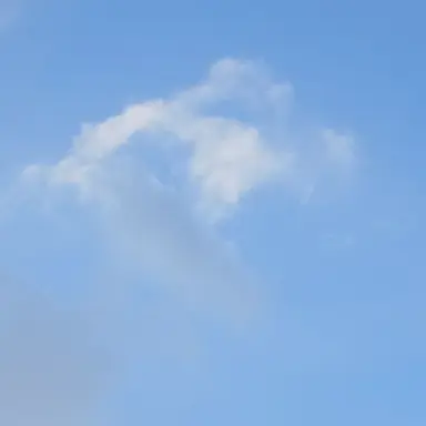 Profile image of 여우