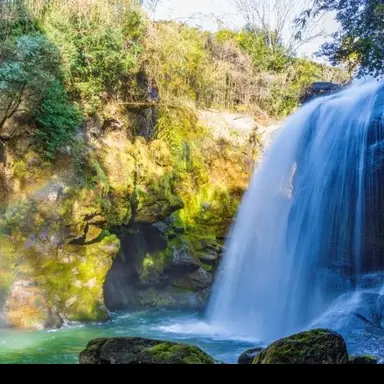Profile image of たき