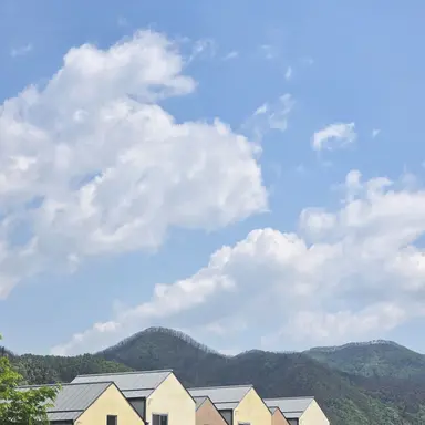 Profile image of 조교