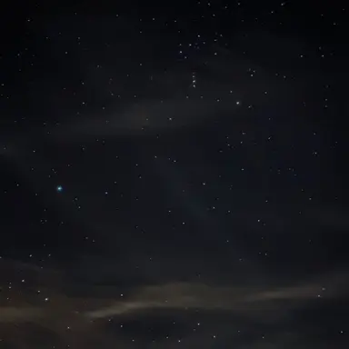 Profile image of 최연준