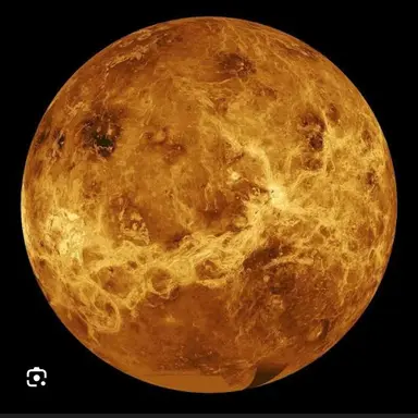 Profile image of 금성