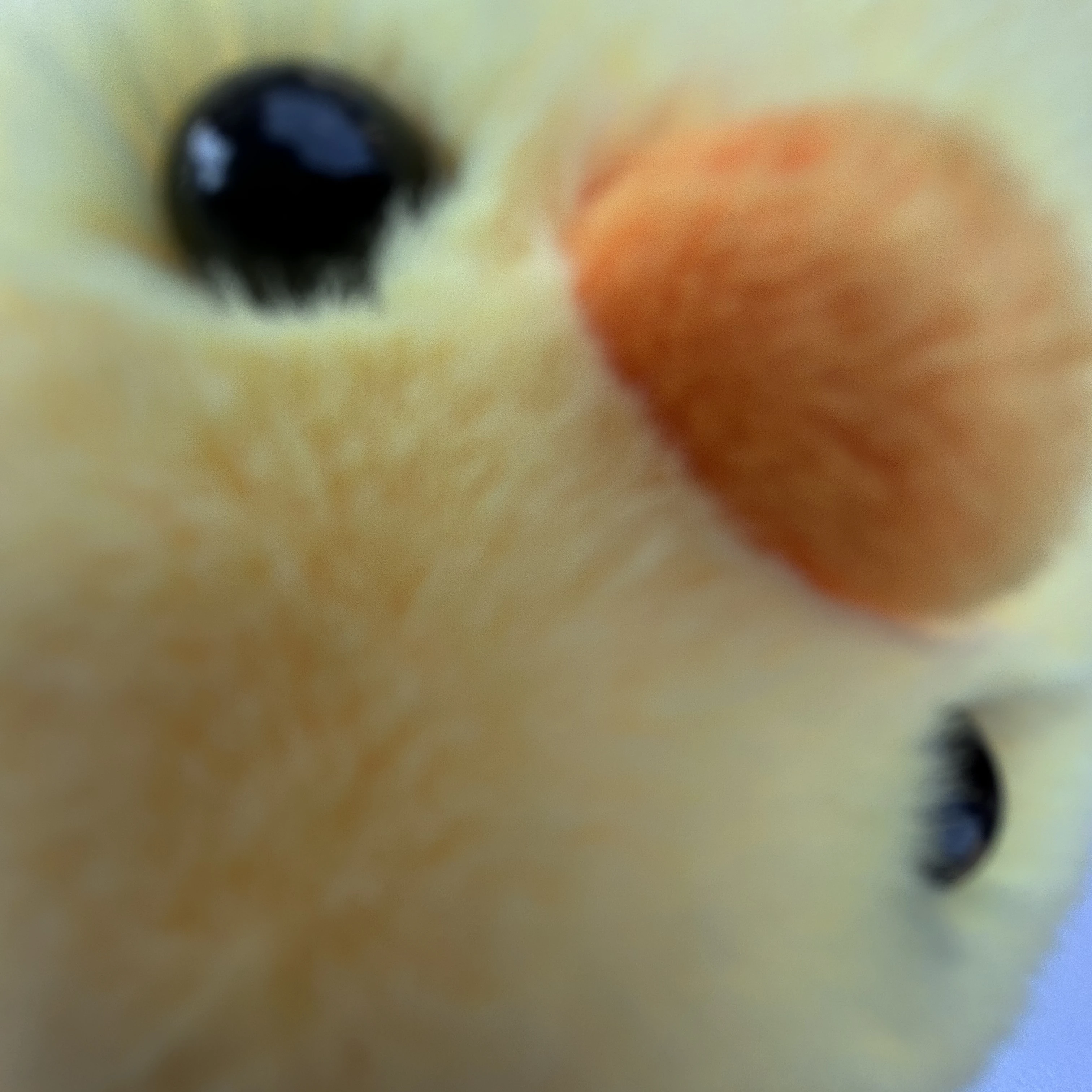 위로핑