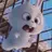 정한