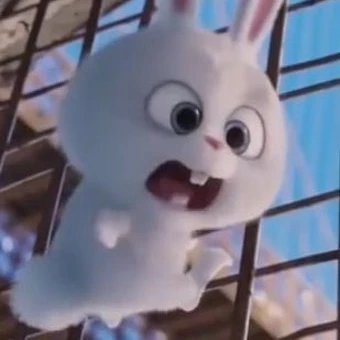 정한