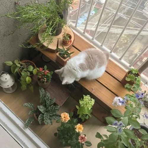 ㆍ
