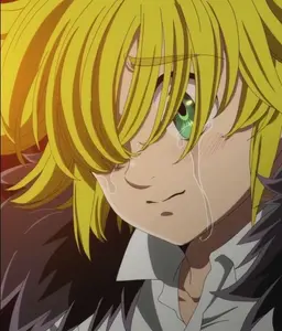 Profile image of メリオダス