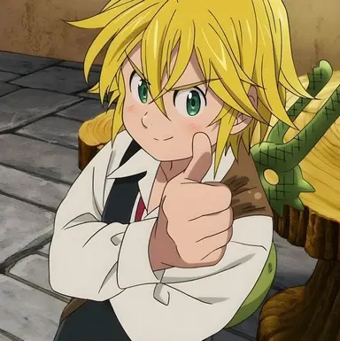 Profile image of メリオダス