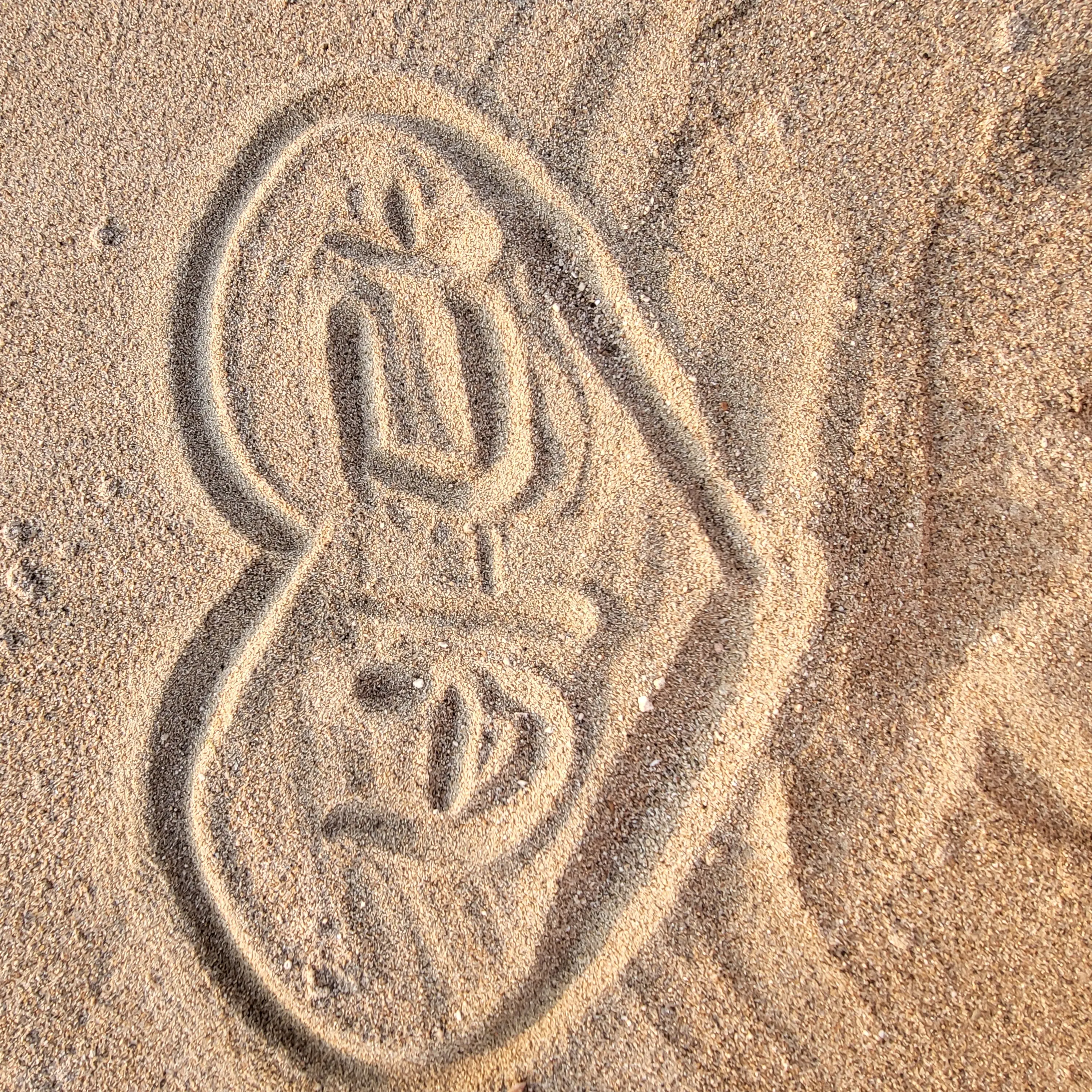 Sea2013729의 S고등학교