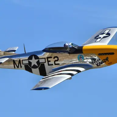 Profile image of P51머스탱전투기