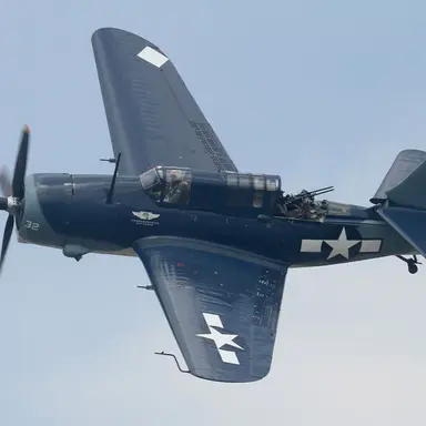 Profile image of 헬다이버급강하폭격기