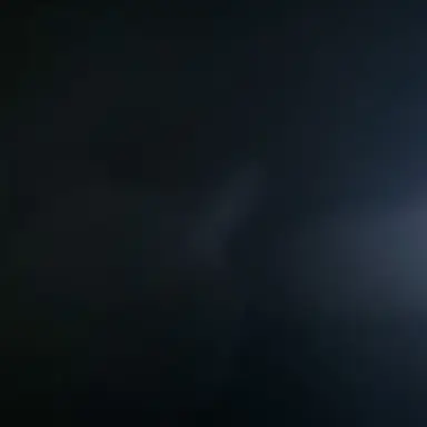 Profile image of 코니 스프링거