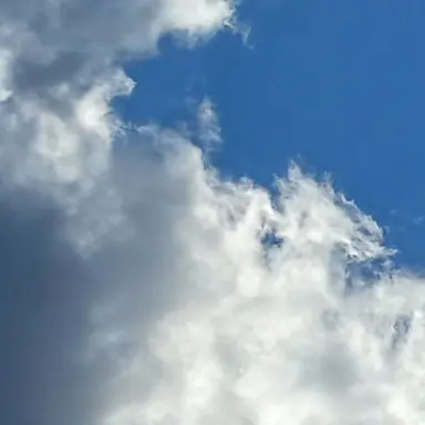 Profile image of 김동혆