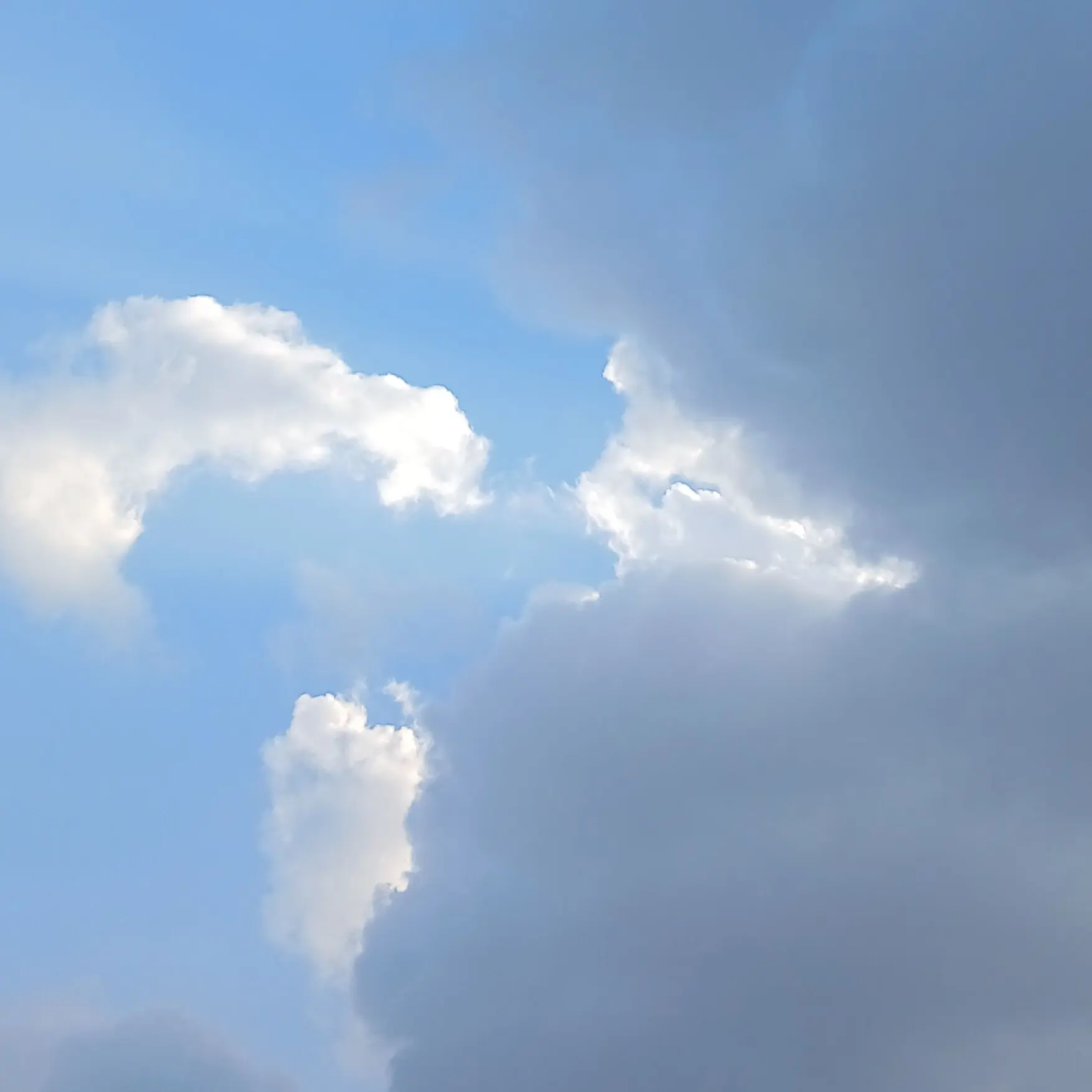 VoicedLady7236의 보넫도