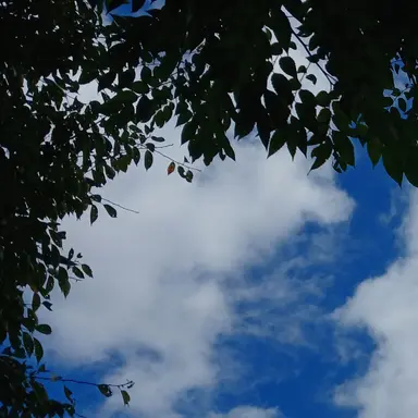 Profile image of 김운핛