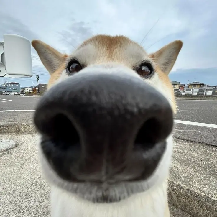 FustyPipe9468의 엉큰녀