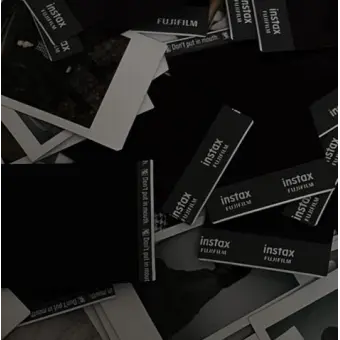 Profile image of 공룡