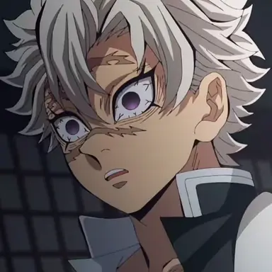 Profile image of 시나즈가와 사네미