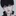김선우