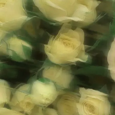 Profile image of 舜斗
