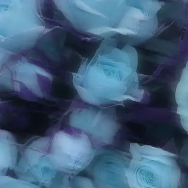 Profile image of 壮大