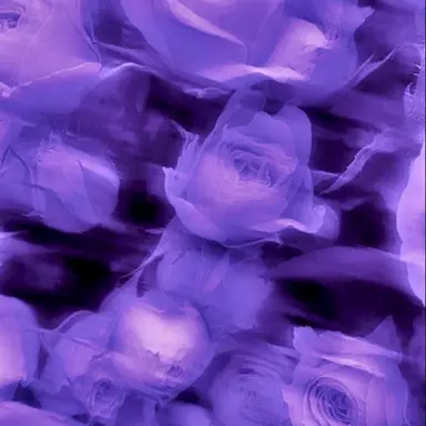 Profile image of 真人