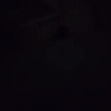 Profile image of 이태림